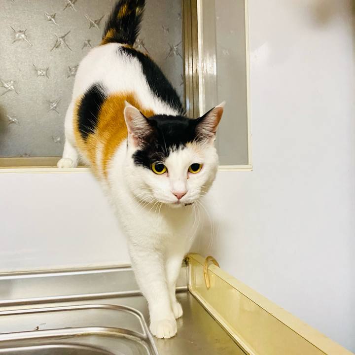 E7c41261 cf8e 43e3 9ca8 5ef845c618ea 1671352277250