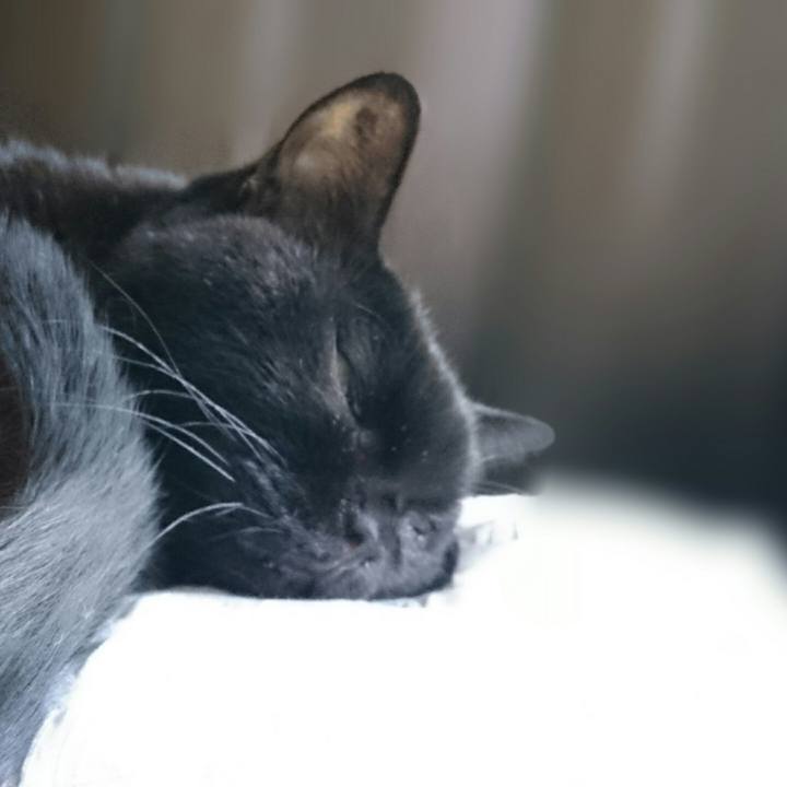 E7c414ec 0a00 41f7 8fe2 93537c7f3d35 1509680913459