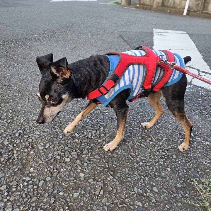 E7c41722 5b28 4533 aec6 52994254deae 1758057974509