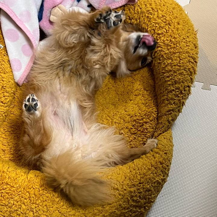 E7c437e6 cb0b 4cfa 9aae 883dd5cbfcc9 1639054103869