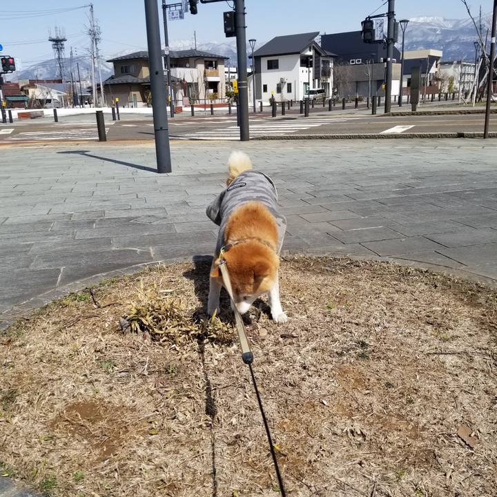 E7c4a0e7 0933 4781 b634 dcaab9ae2ff4 1648614202755