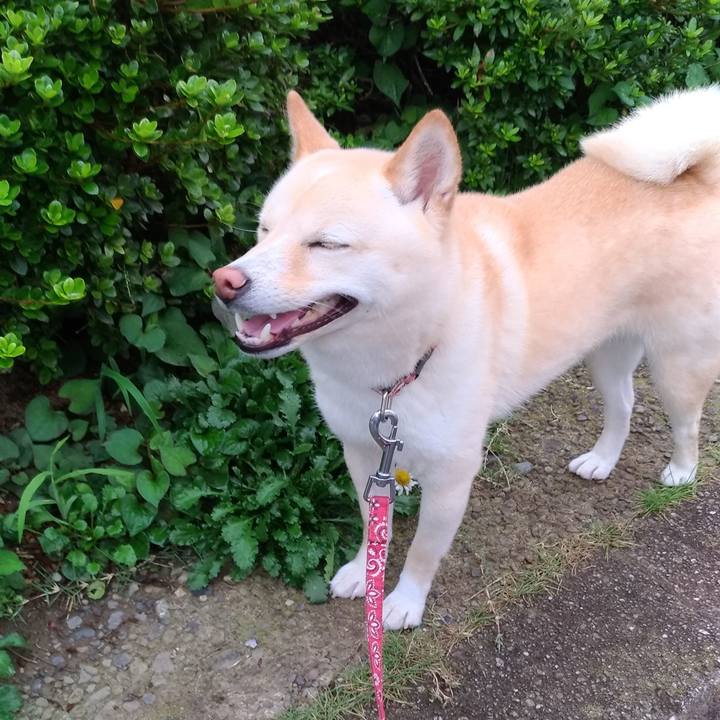 E7c4a4f2 af9d 4d5f ac9a 575bf0b83259 1563437627242