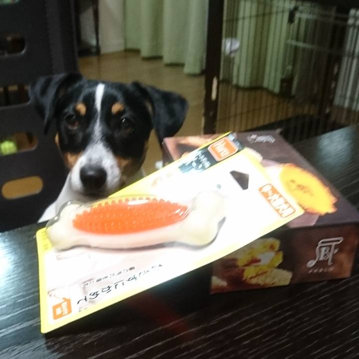 E7c4c77c 0a30 4cab acfe 798e68ed2f3f 1545553980708