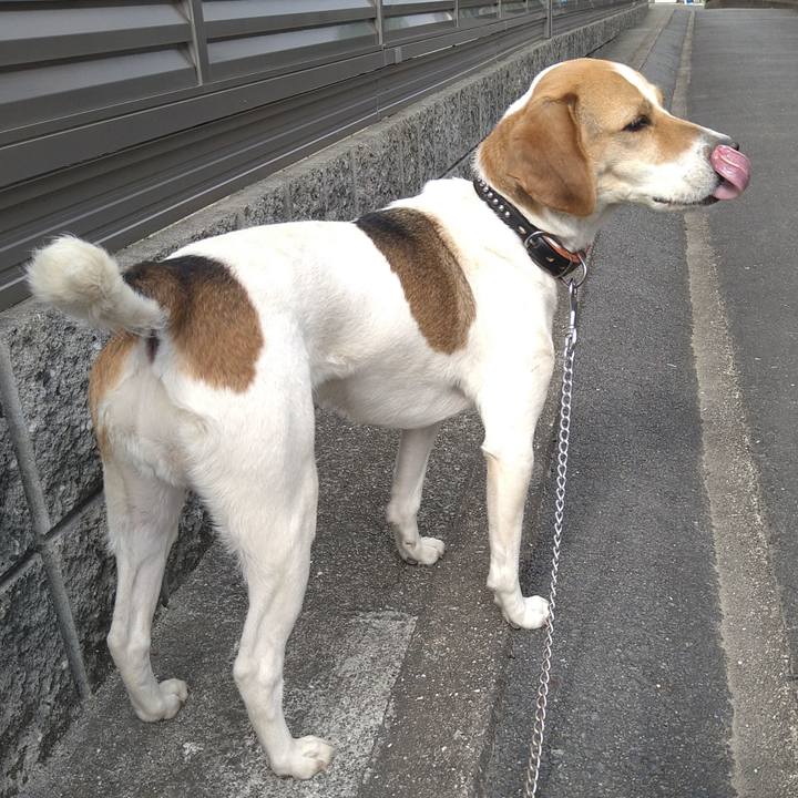 E7c4ddaf 497b 401c 9301 88129b13e71a 1622962822138