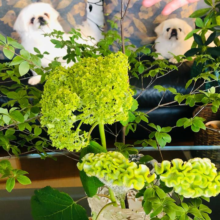 E7c5167b 263e 42e4 8d59 b3f2c03c9e75 1622274585682