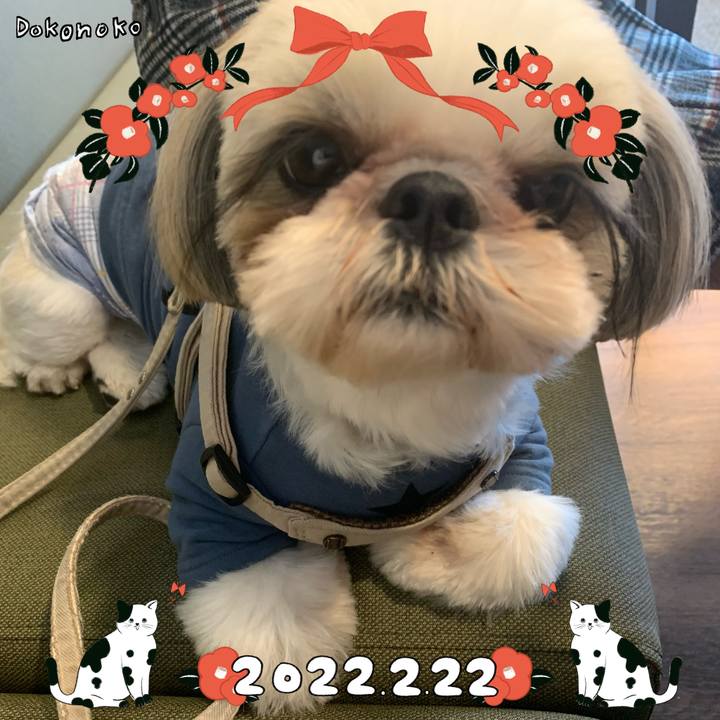 E7c5473b c4cd 4e0e acaf 4fc661051851 1645501076523