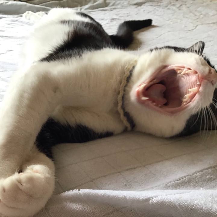 E7c54ddb 1542 45c3 a348 01d9e4b8630a 1654407328240