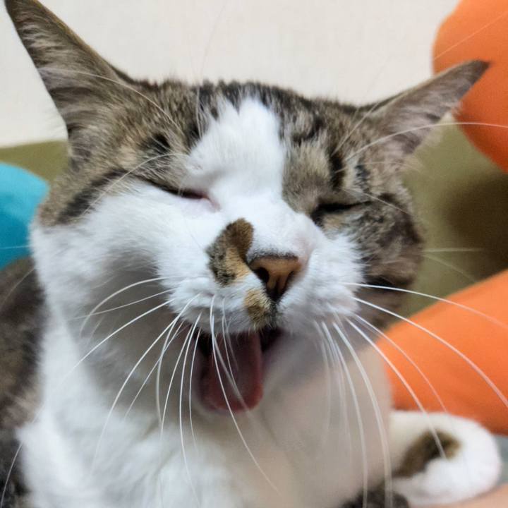 E7c55598 e970 498b acfd a61451546024 1709784516493