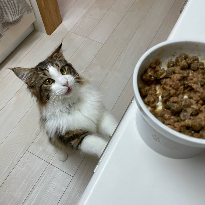 E7c57d03 d2f7 4e1a 9022 8a1774e83312 1643447333477