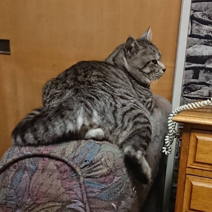 E7c57db1 2110 4fd7 851f bc61cb2705b0 1518857138365