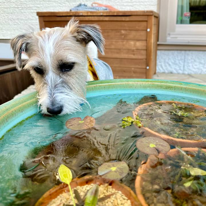 E7c5a9a2 b443 43af aa95 d2bebab45645 1703380894942