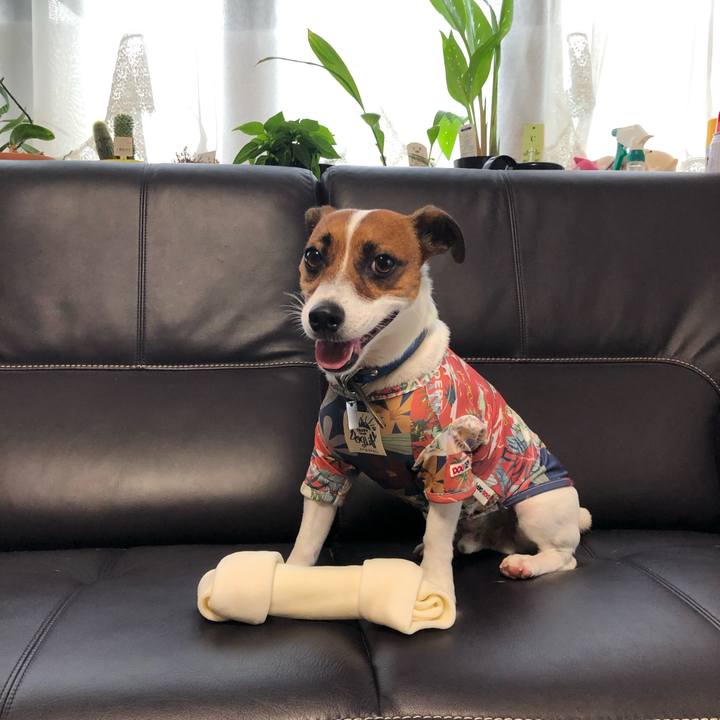 E7c5b504 d2b0 4526 b0ff 81926f2111f0 1595230133443