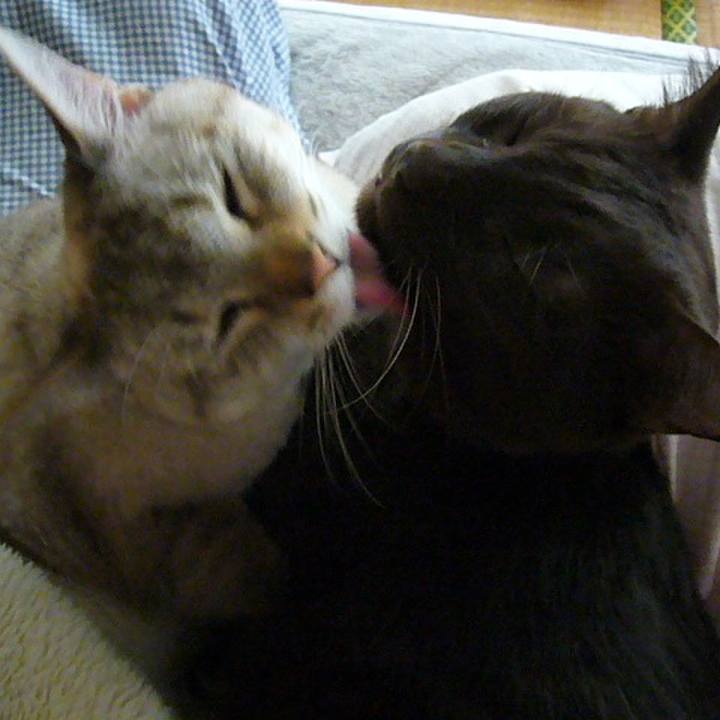 E7c5b531 3555 4bd1 b1a9 0250027d807f 1616212918869