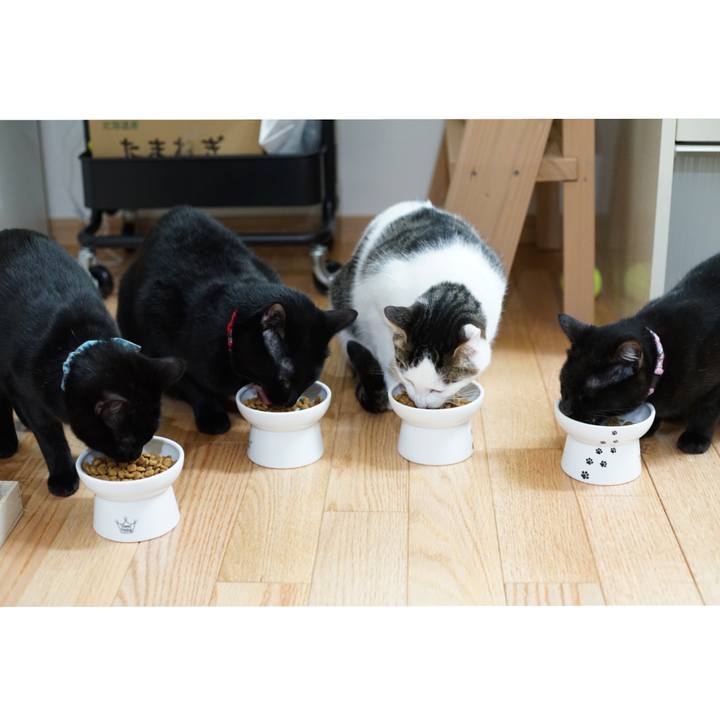 E7c5ee5f 3b8b 4f04 887a 01e771c27f83 1515161581566