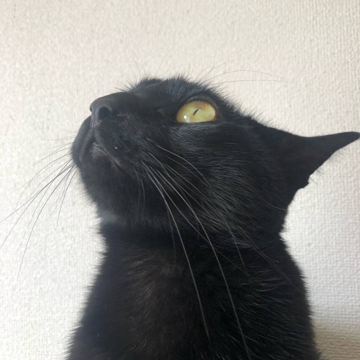 E7c6090d e1ff 49fa 8ee8 42e908166c6c 1554207639497