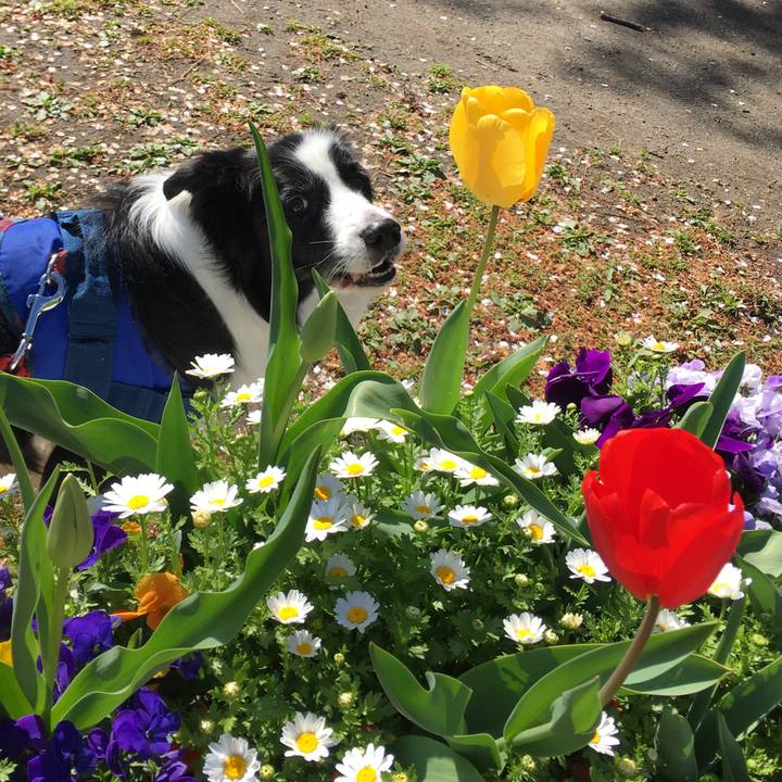 E7c619ef e1c1 419e 9a61 b7f9265da757 1555214768771