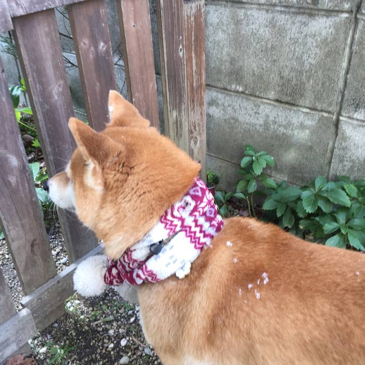 E7c61b3d 9b0d 407d 970d c51458bdadf7 1518411613417