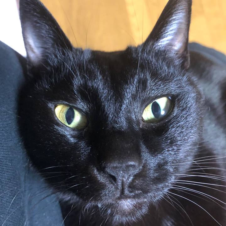 E7c63c65 bc9c 447f 9fba cfc18cfb61a9 1703753724893