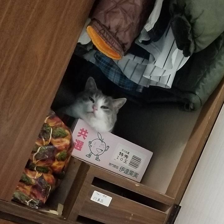 E7c65e30 392e 46b8 8910 520d9e0065fc 1658323382737