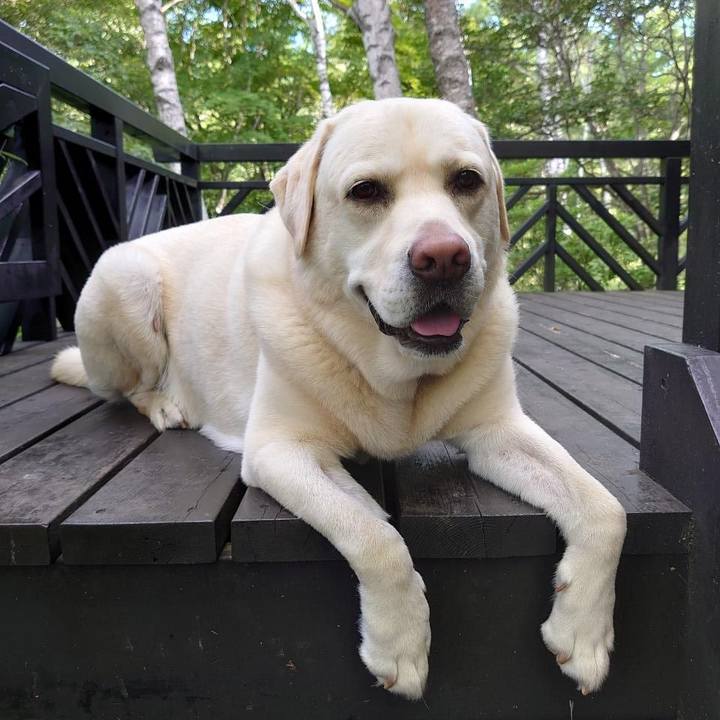 E7c67291 0a86 48bd ab6d 8c81c5fa304f 1656493233083