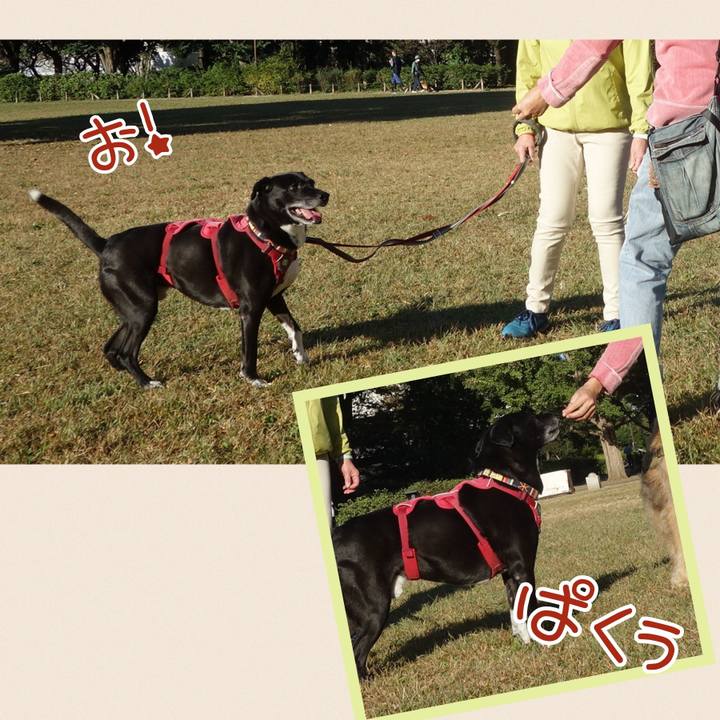 E7c6aab2 a02b 40d1 aa88 aca16bed32b5 1698109916894