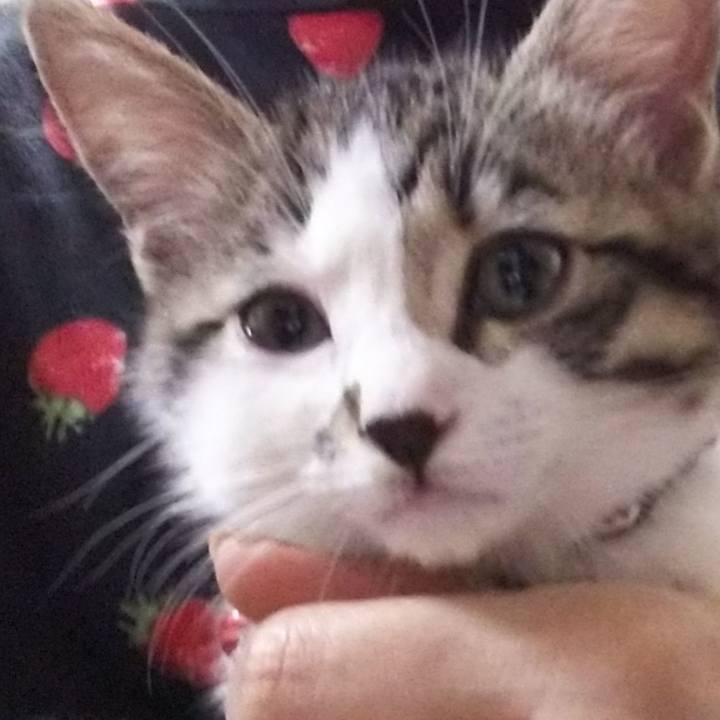 E7c6b2bf d88c 4a41 81b8 9c6fd8ed4c13 1669067755490