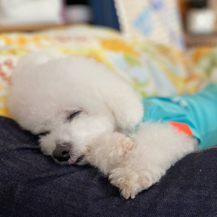 E7c6ec0b cf2a 4c46 8aca c9d270ec35de 1699943612001