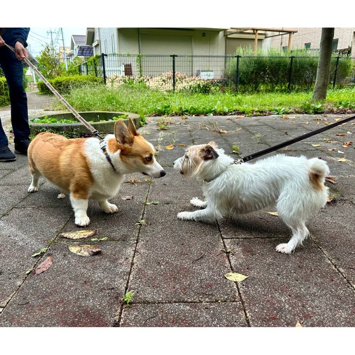 E7c705db 66ab 4547 98f9 b0e4435979e9 1727533317384