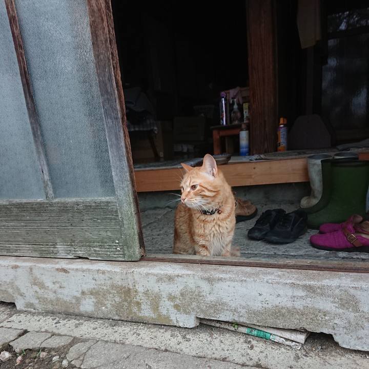 E7c719cb dc4e 4a46 9277 01cdfa2dc791 1658782503634