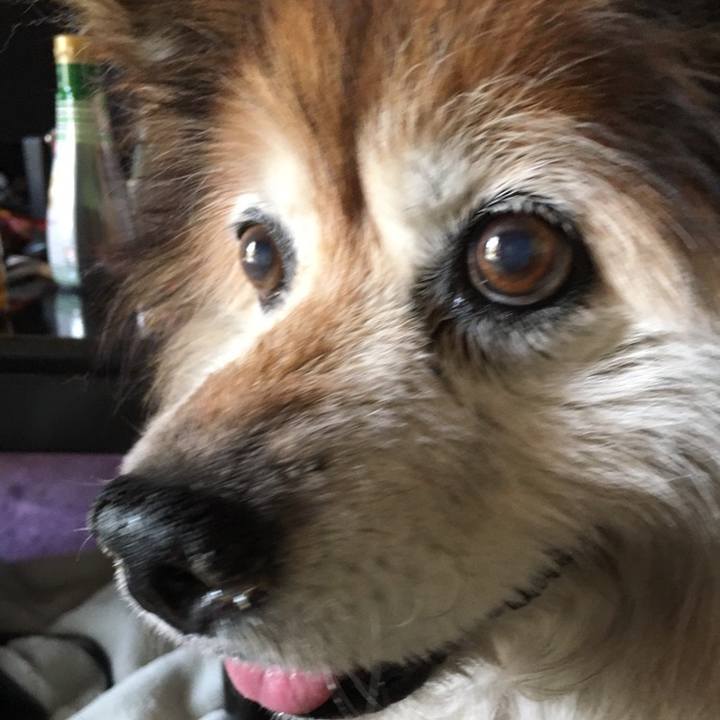 E7c752ee fd5b 4348 aaa4 da7e0e86cc51 1599717489458