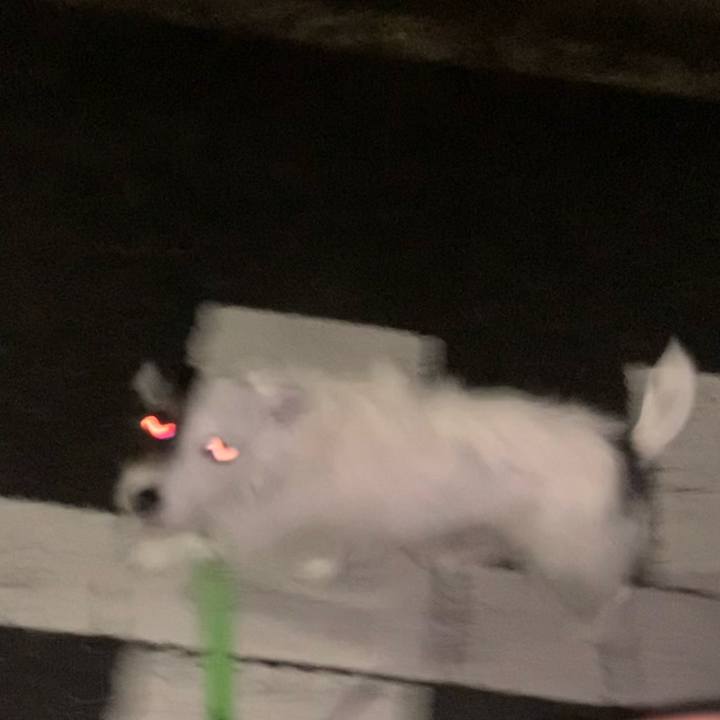 E7c75b1b ab29 4bad 954d 970f009fdccf 1622722920312