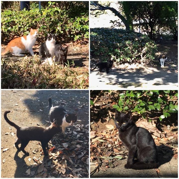 E7c767ea a577 4eea 95ac a6b5a577a5e2 1534663369480