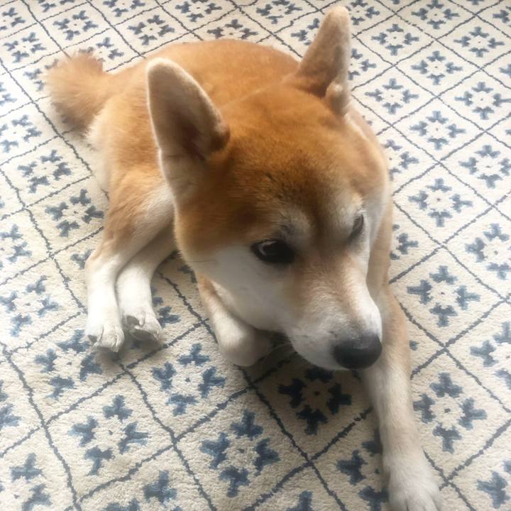 E7c7918f 6e85 4b7b b5d4 5943964fbab7 1553224541542