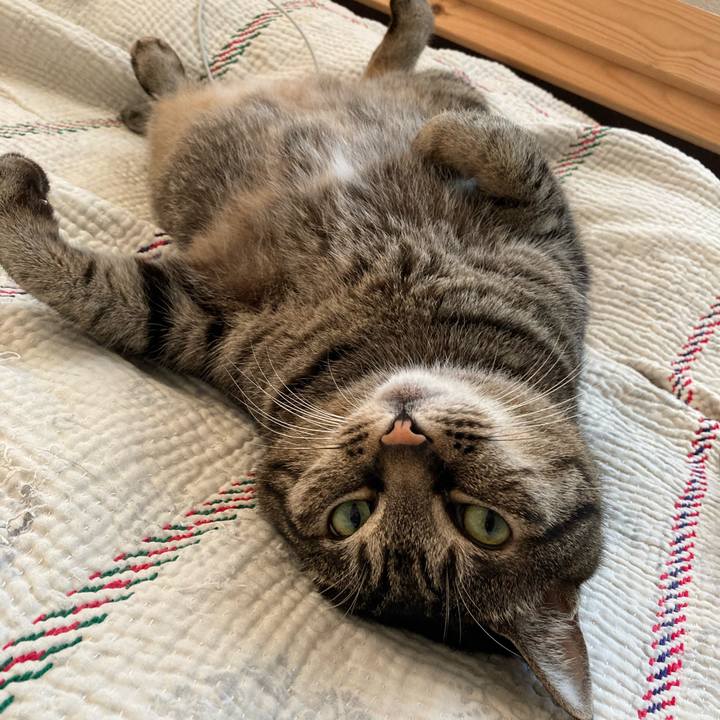 E7c79ea8 a6bc 4534 8276 9f59837333db 1742890349579