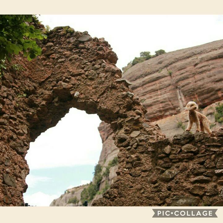 E7c7af10 48d1 4c71 9ca5 d7051dd0ff18 1559115548567