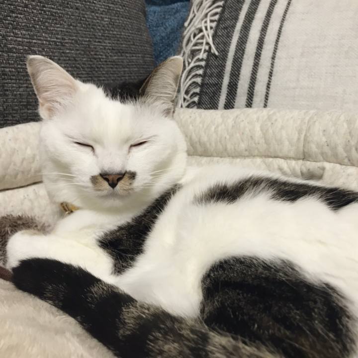 E7c7c1d0 3c0e 44f6 8840 3f65d9b87d91 1548129147859