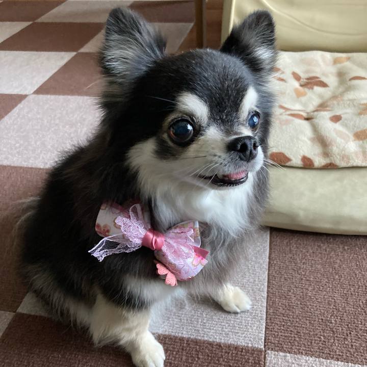 E7c7c75b 9106 4333 b709 23d5c72a9b5a 1774616522748