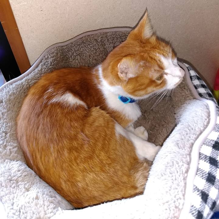 E7c7ca63 3e3c 4cc8 bb0a 5a45da1d33b4 1553399098133