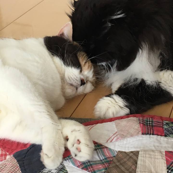 E7c7df63 1b6c 46dc 8d3c eef431424505 1528335629419