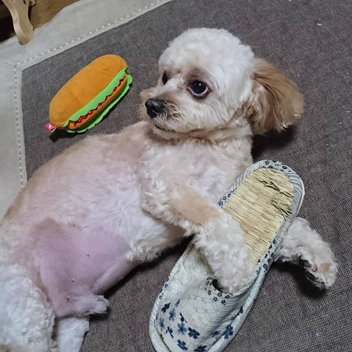 E7c7ef4d 9e4f 47c4 8899 d1248b7ba7f5 1536496511378