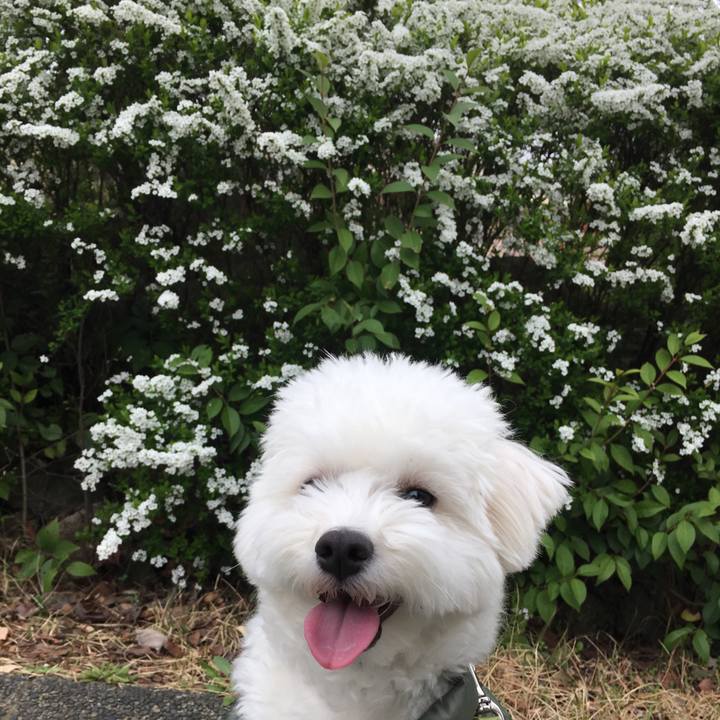 E7c7faba c1a4 4aff 9f1c 28c9c955a619 1521353607356