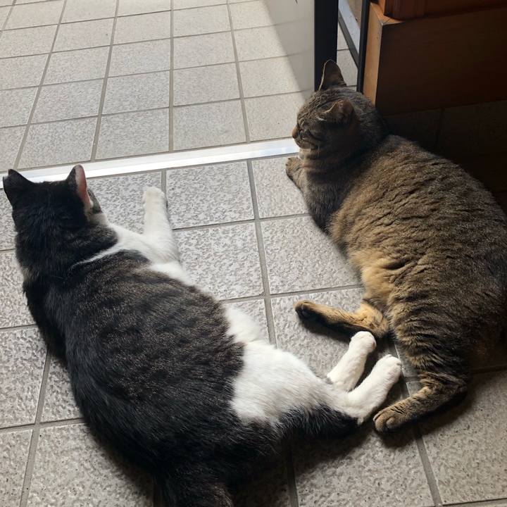 E7c81134 5067 4f66 8e25 99d464dc3335 1530963373513