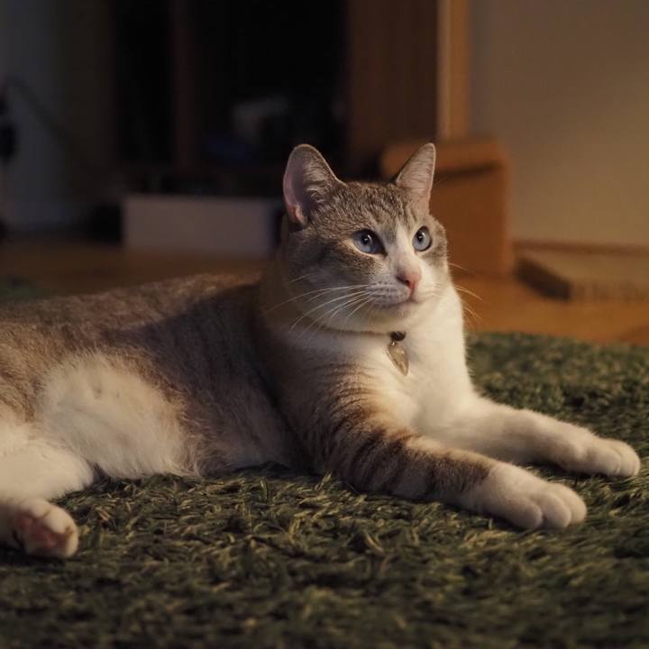 E7c81821 4bed 4736 882b c2498d5f6c49 1598972218171