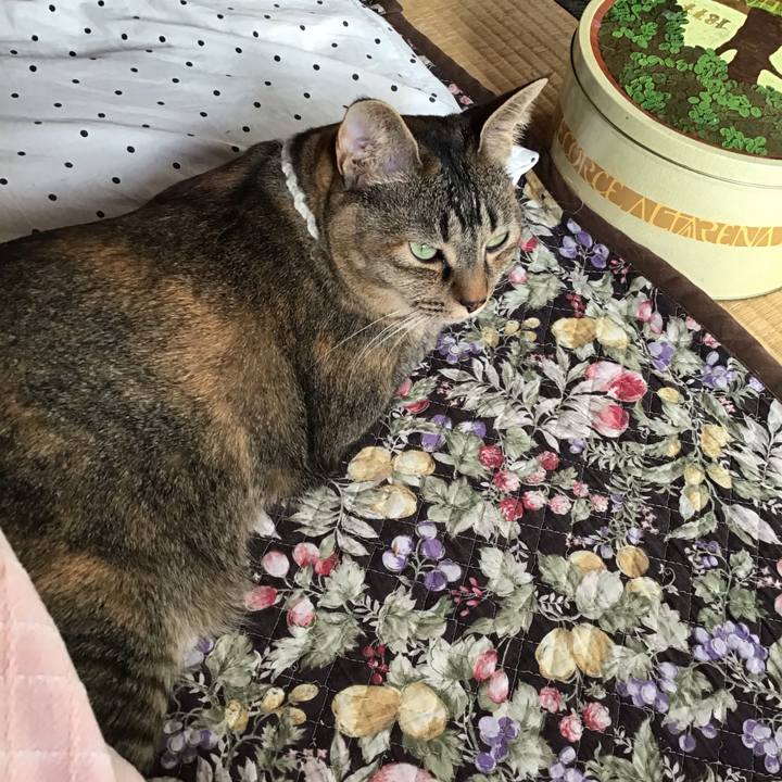 E7c83cca 1e99 4fcc 9360 cf535291c8aa 1647314933006