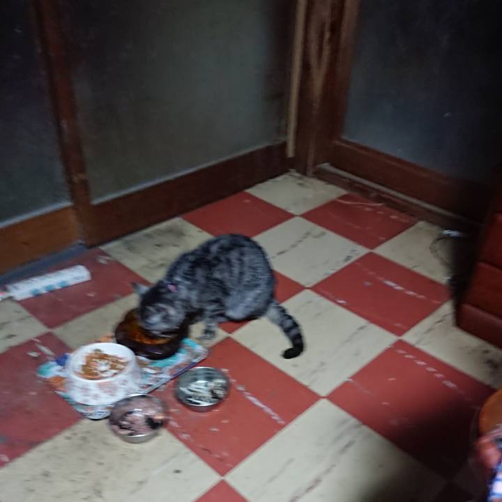 E7c86255 b1e5 4a31 a861 39dbee28f1a9 1581454759879