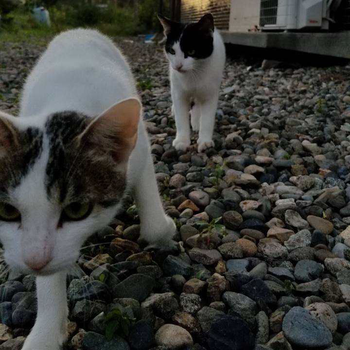 E7c879c3 e4d8 40ca a13e 8dfa023bd7d8 1568382311980