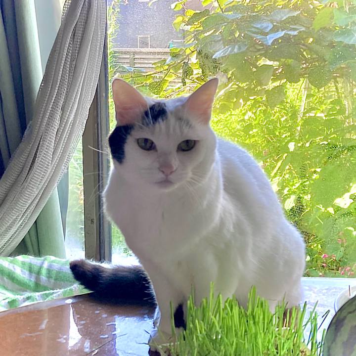 E7c8a5af 9fac 41fd 89cc f7644a4ec894 1630987632679