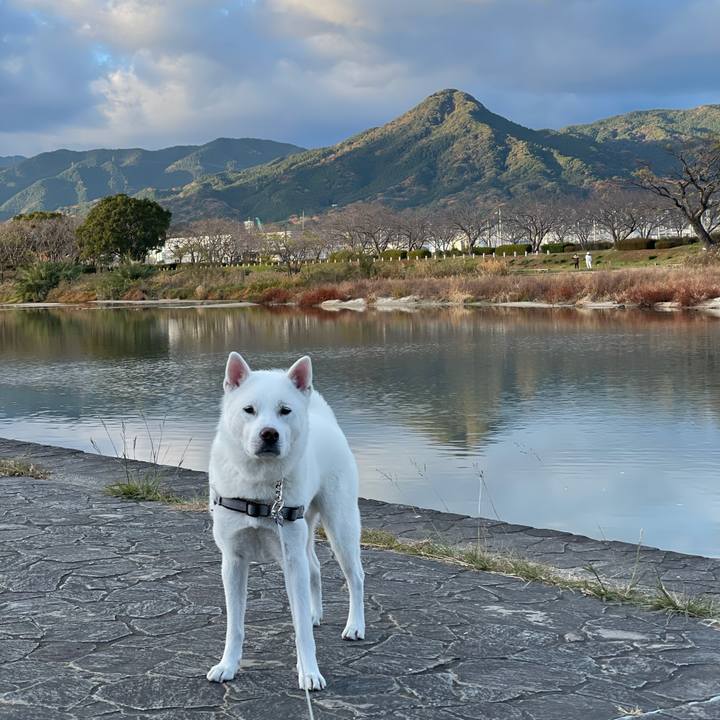 E7c8ecd4 0d1e 4eb4 bc4d 1c34639b6c30 1608159932885