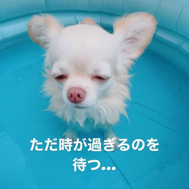 E7c9040b 4fef 4dbc 9bb3 16cd5d7f6fe1 1692100931032