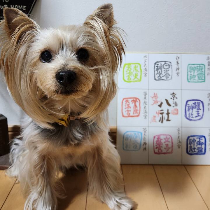 E7c9599f a933 4e42 8e99 fd2cc0a8951e 1704528163197